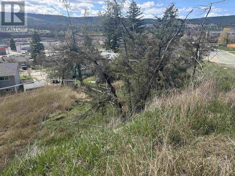 Tertiary Property View