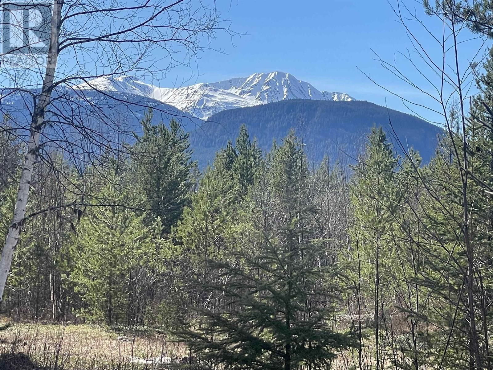 Primary Property View