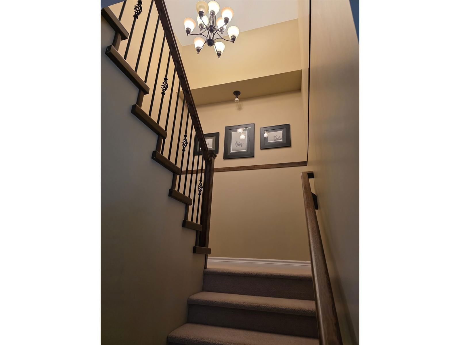 19309 67 Image 7