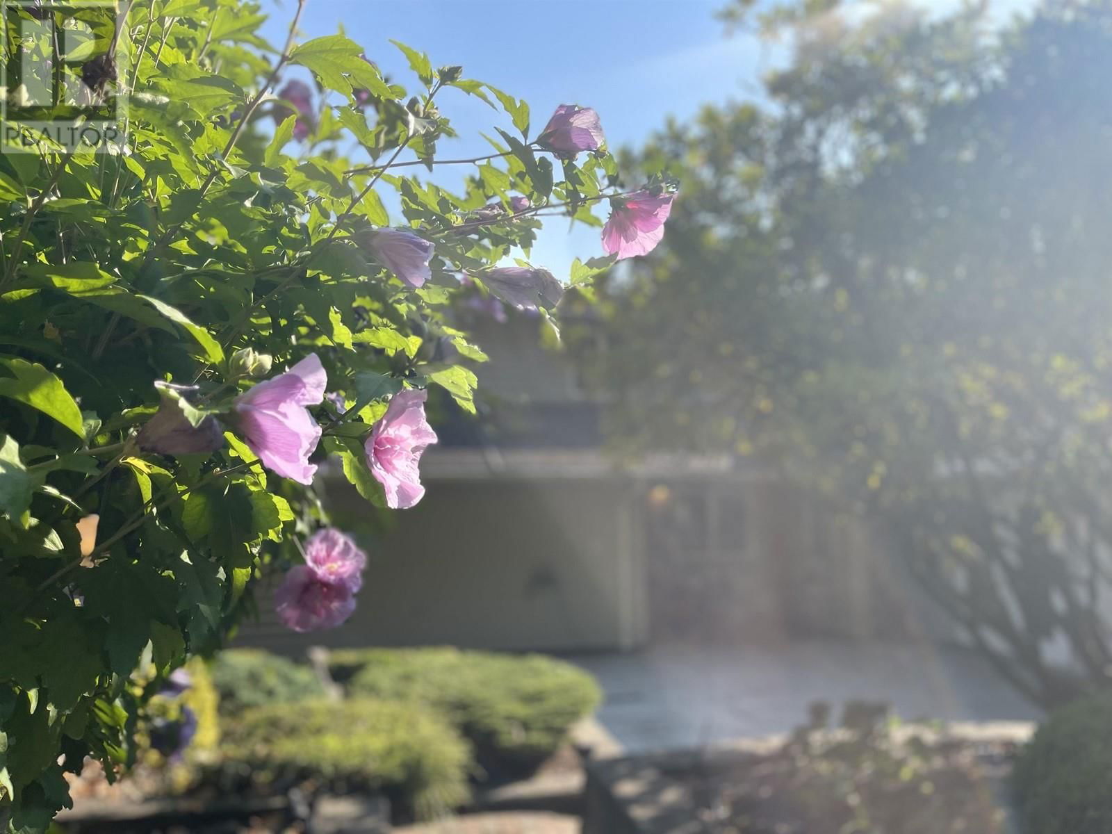 539 NEWCROFT PLACE Image 21
