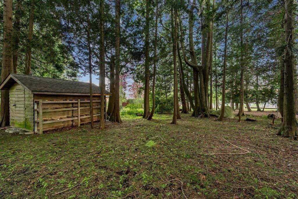 13671 16 Image 29