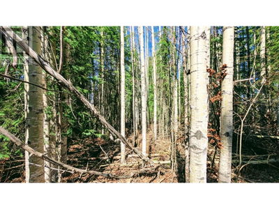 Commercial for Sale in British-columbia