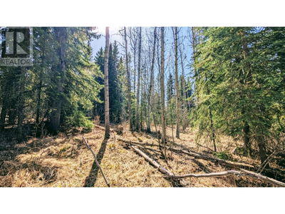 Commercial for Sale in British-columbia