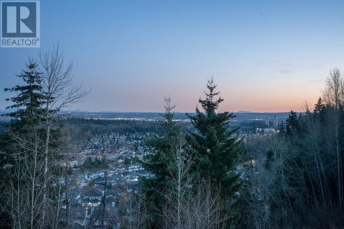 3126 SILVERTHRONE DRIVE Image 17