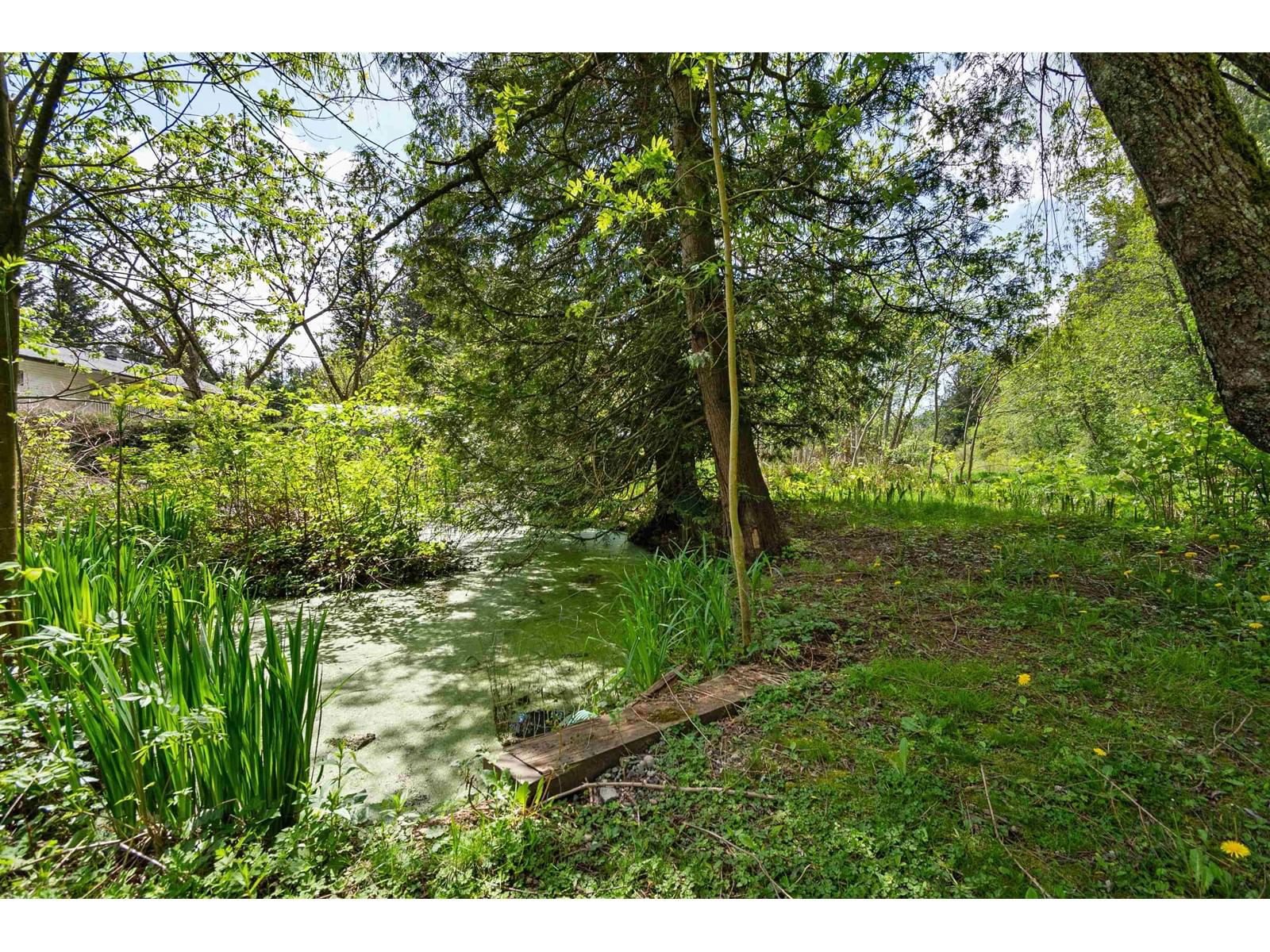 960 HOT SPRINGS ROAD Image 36