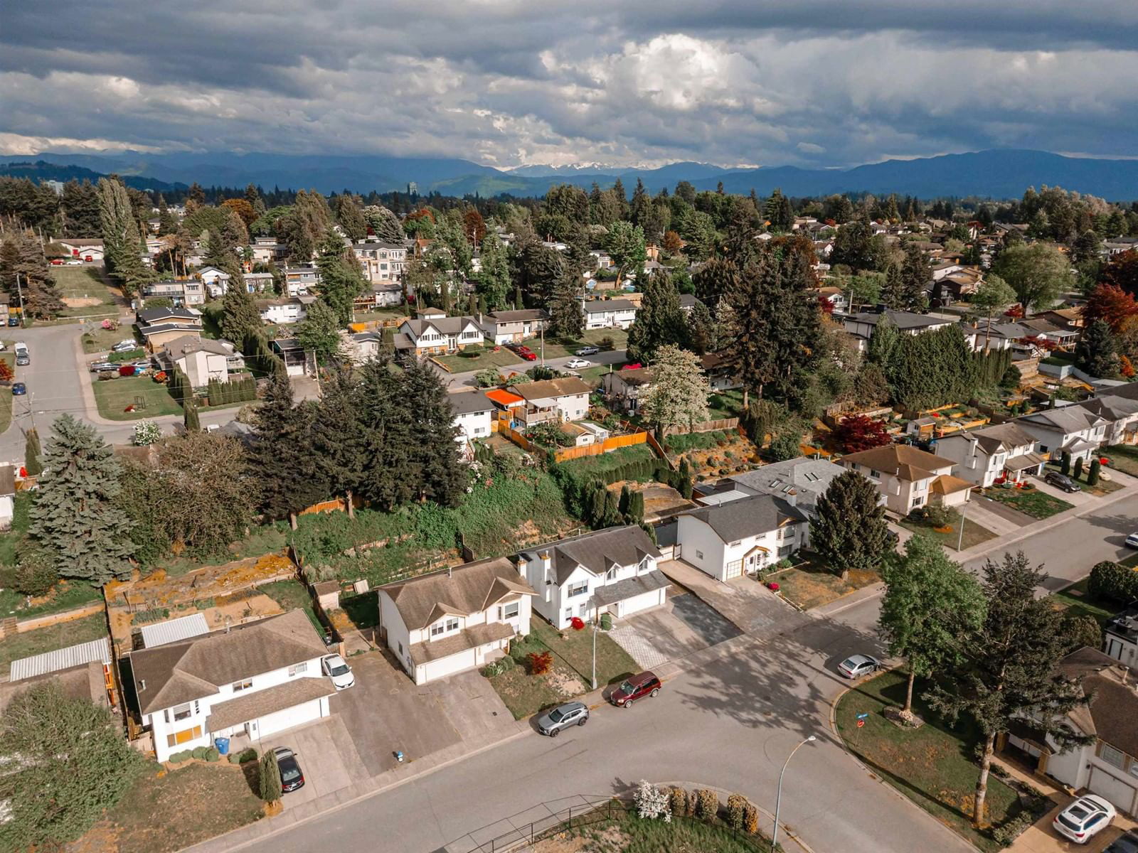 2664 MITCHELL Image 39