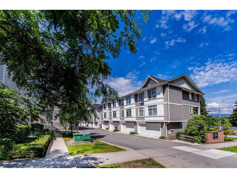 Tertiary Property View