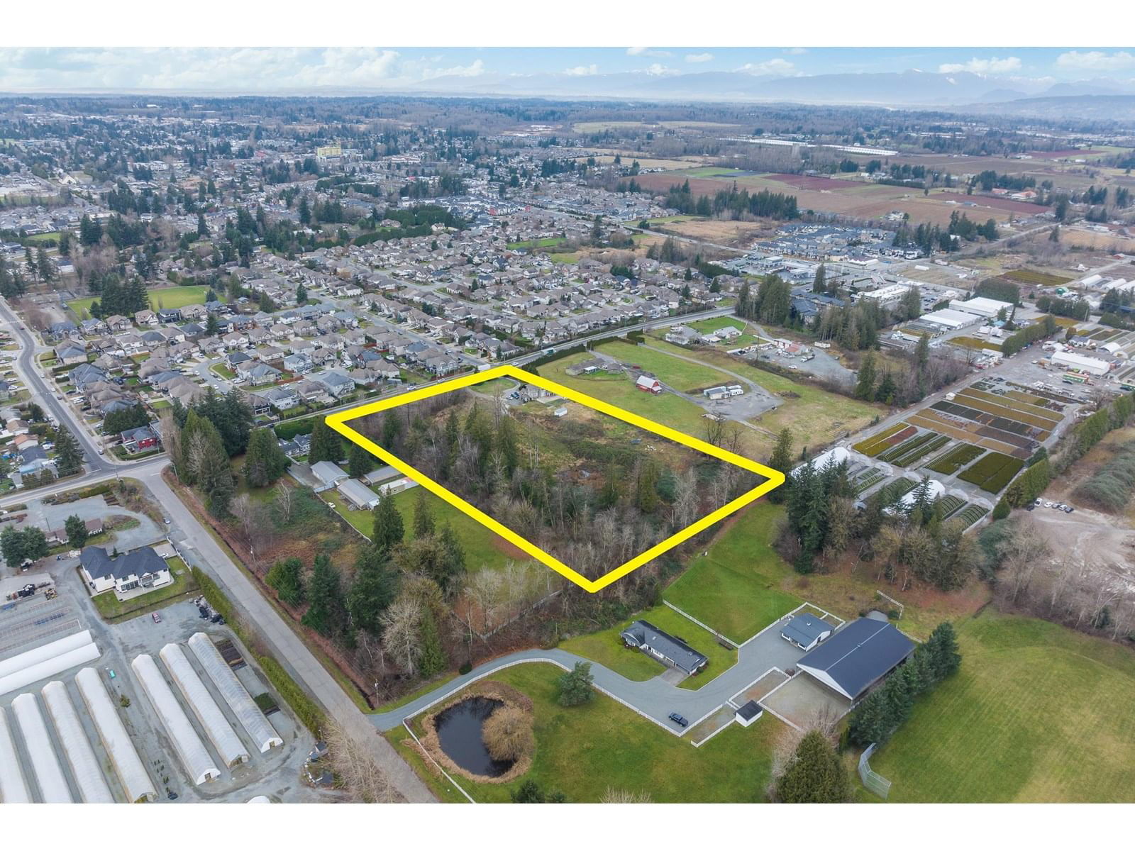 Primary Property View
