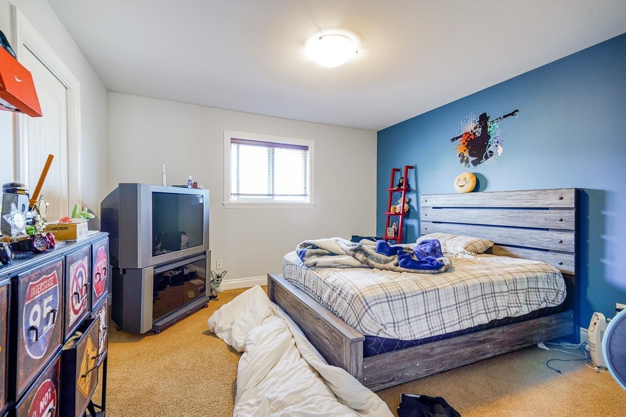 3453 BLUEBERRY Image 15