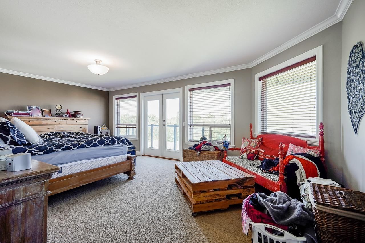 3453 BLUEBERRY Image 16
