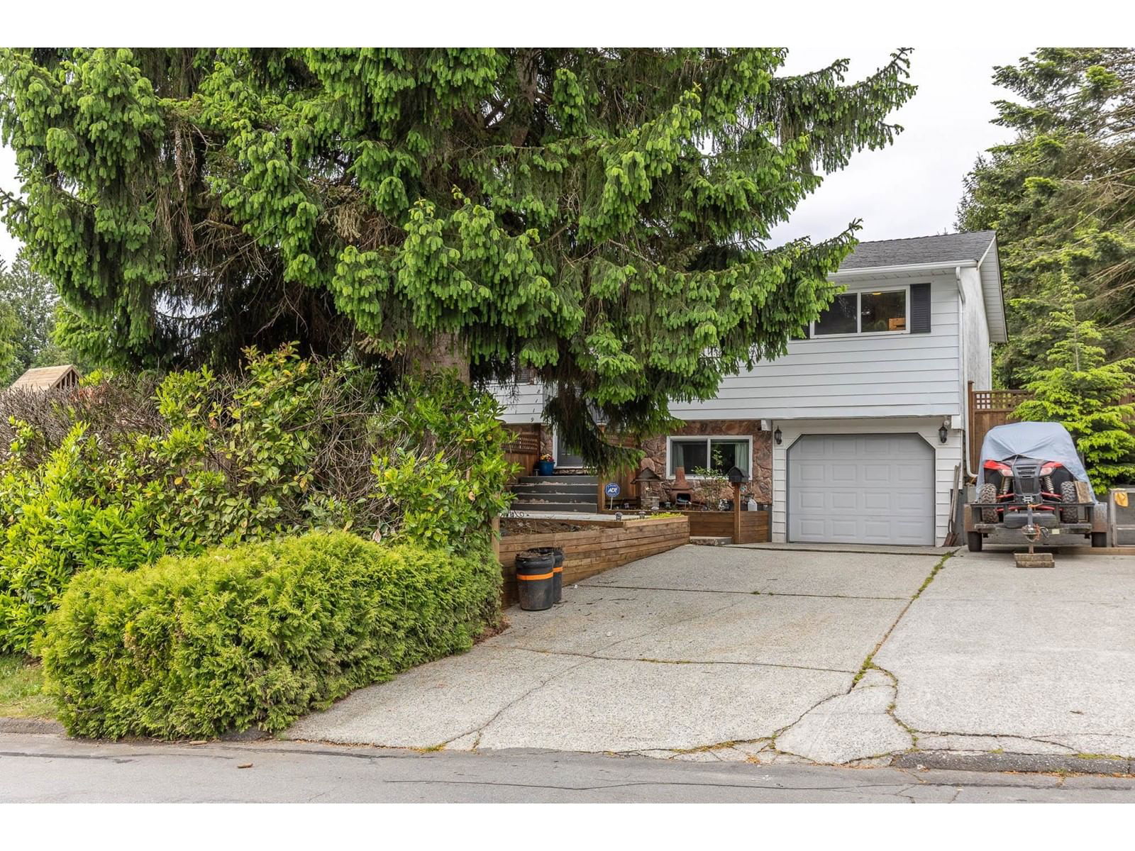 8119 BROWN Image 3