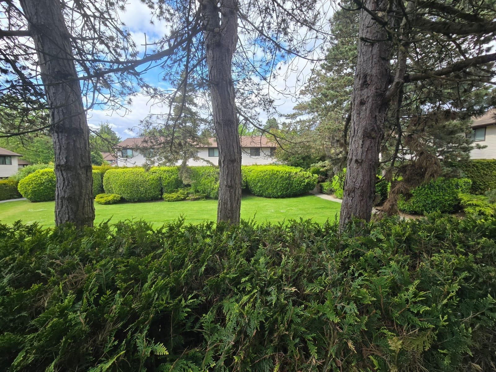 111 - 13880 74 Image 30
