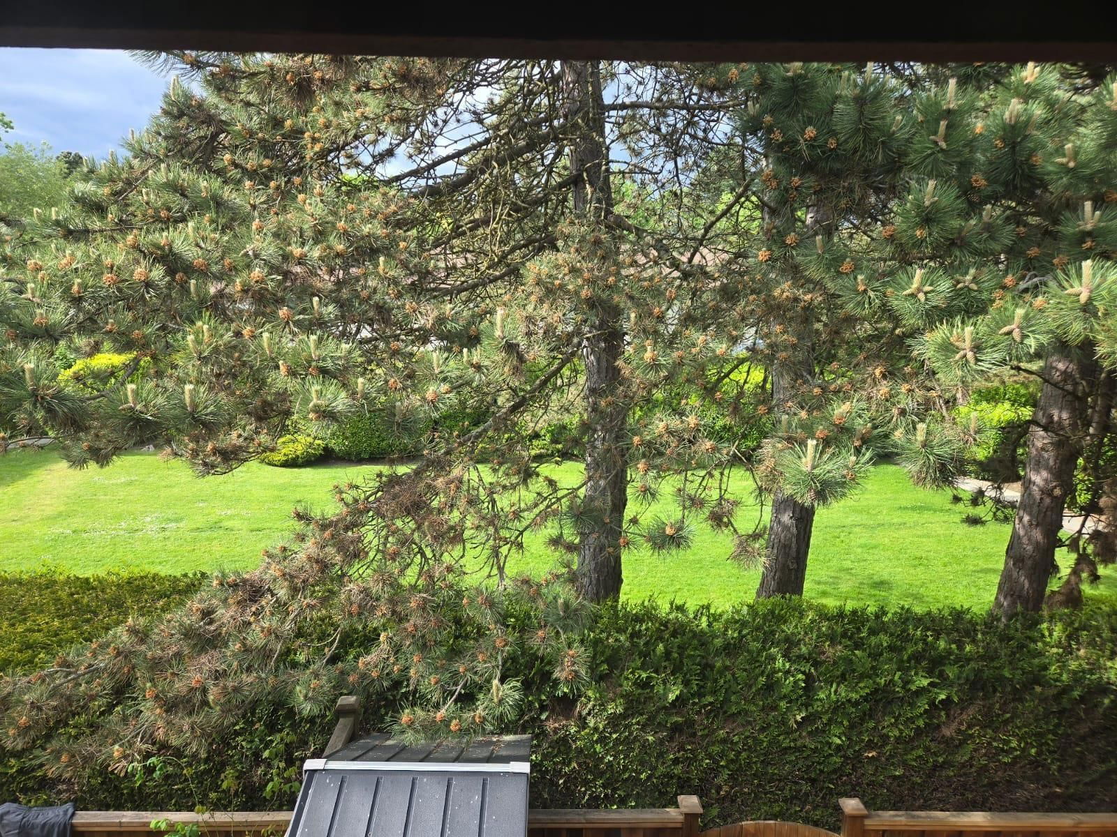 111 - 13880 74 Image 31