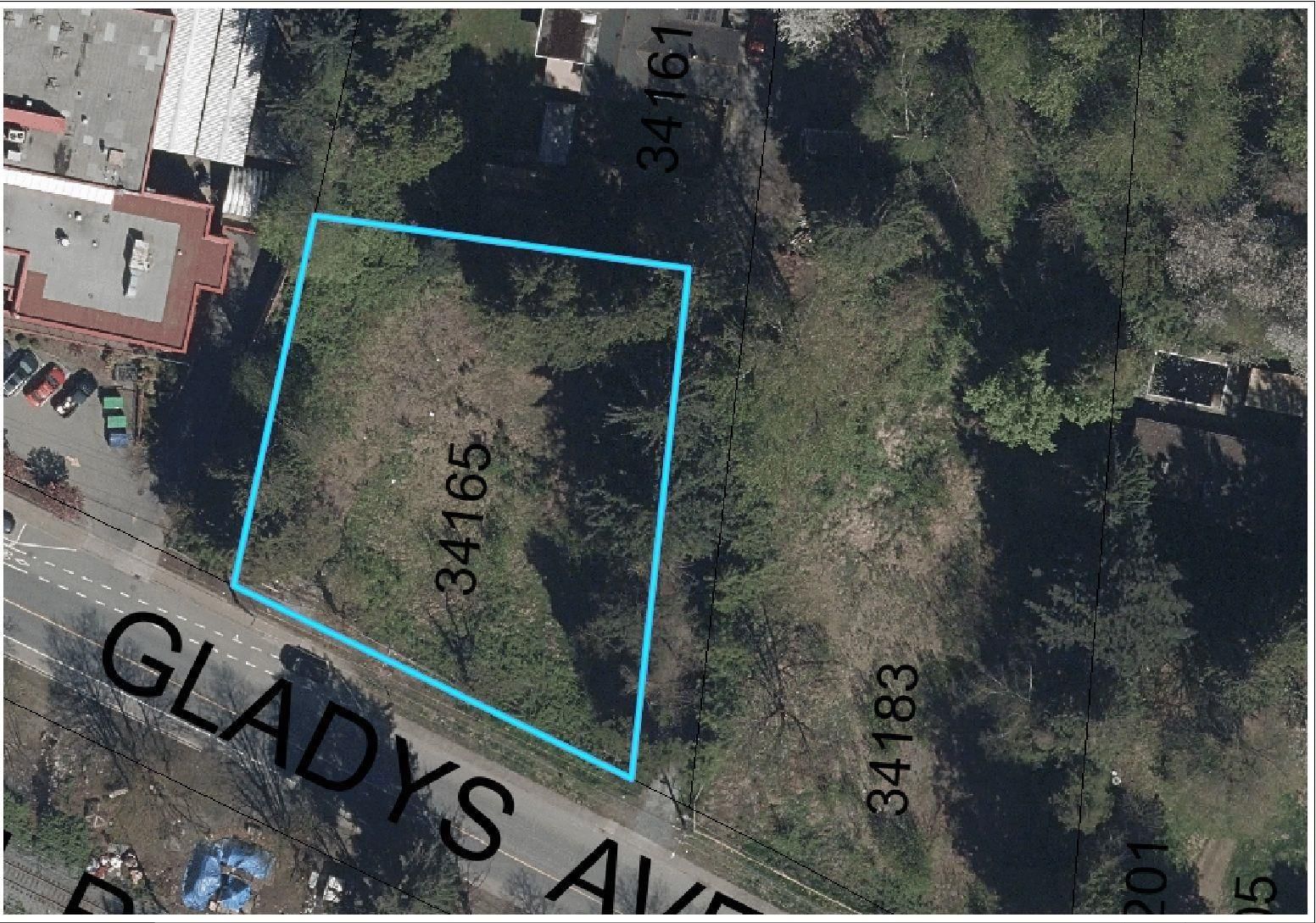 Primary Property View