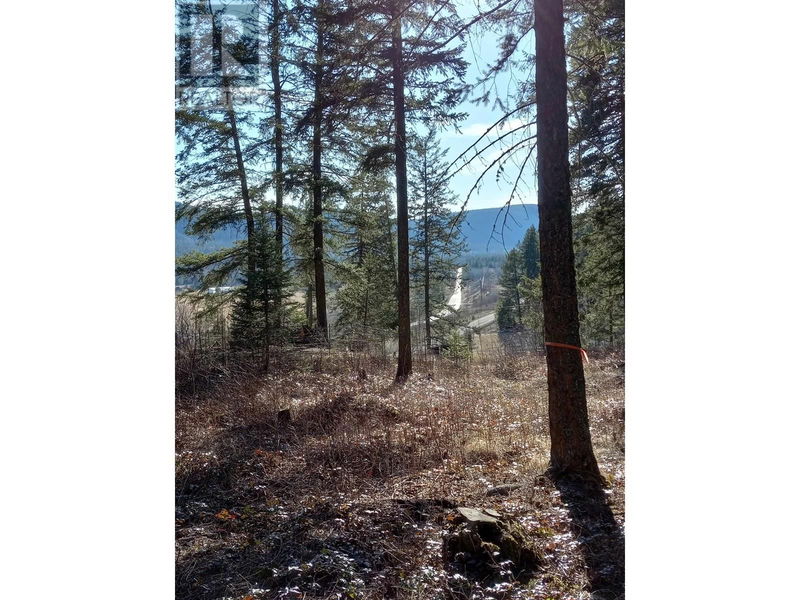 Tertiary Property View