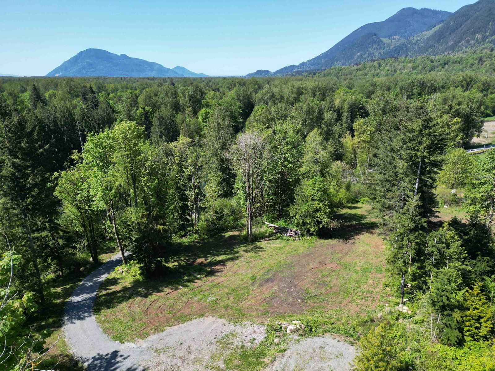 Primary Property View