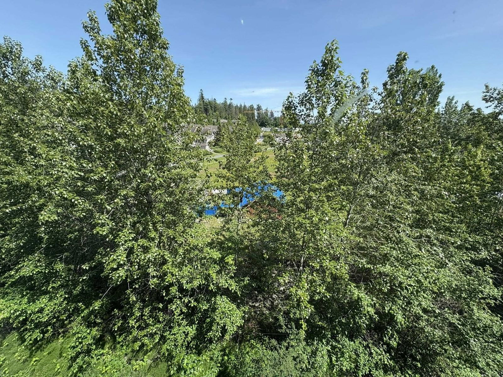 D407 - 20211 66 Image 23