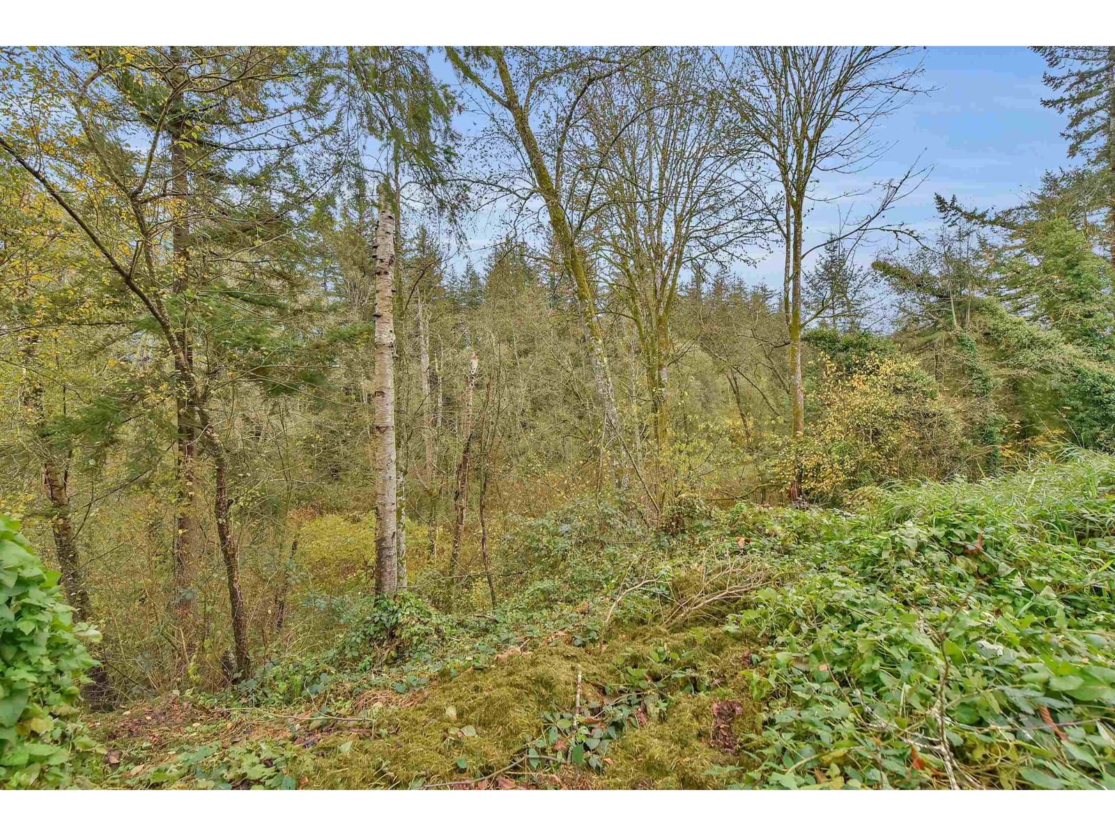 20054 FERNRIDGE Image 36
