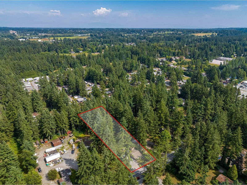 Tertiary Property View