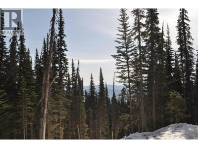 Lt 8 ALPINE Way | Smithers British Columbia | Slide Image Two