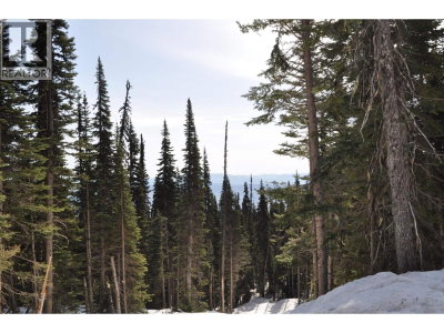 Lt 8 ALPINE Way | Smithers British Columbia | Slide Image Three