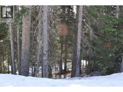 Lt 8 ALPINE Way | Smithers British Columbia | Slide Image Four