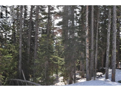 Lt 8 ALPINE Way | Smithers British Columbia | Slide Image Five
