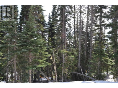 Lt 8 ALPINE Way | Smithers British Columbia | Slide Image Six