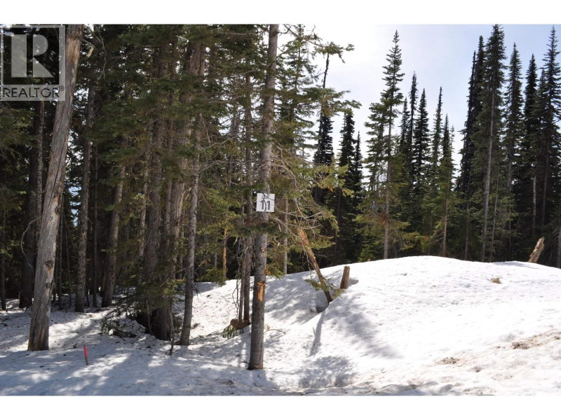 Lt 11 ALPINE Way Smithers British Columbia, V0J 2N0 - Vacant Land For Sale