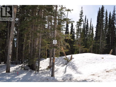 Lt 11 ALPINE Way | Smithers British Columbia | Slide Image One
