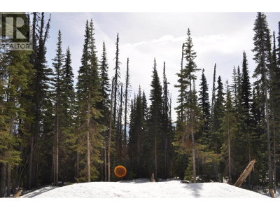 Lt 11 ALPINE Way | Smithers British Columbia | Slide Image Two