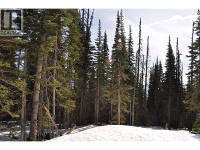 Lt 11 ALPINE Way | Smithers British Columbia | Slide Image Three