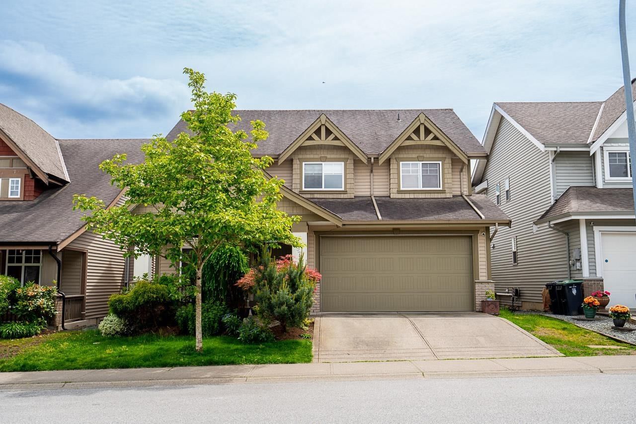 Primary Property View