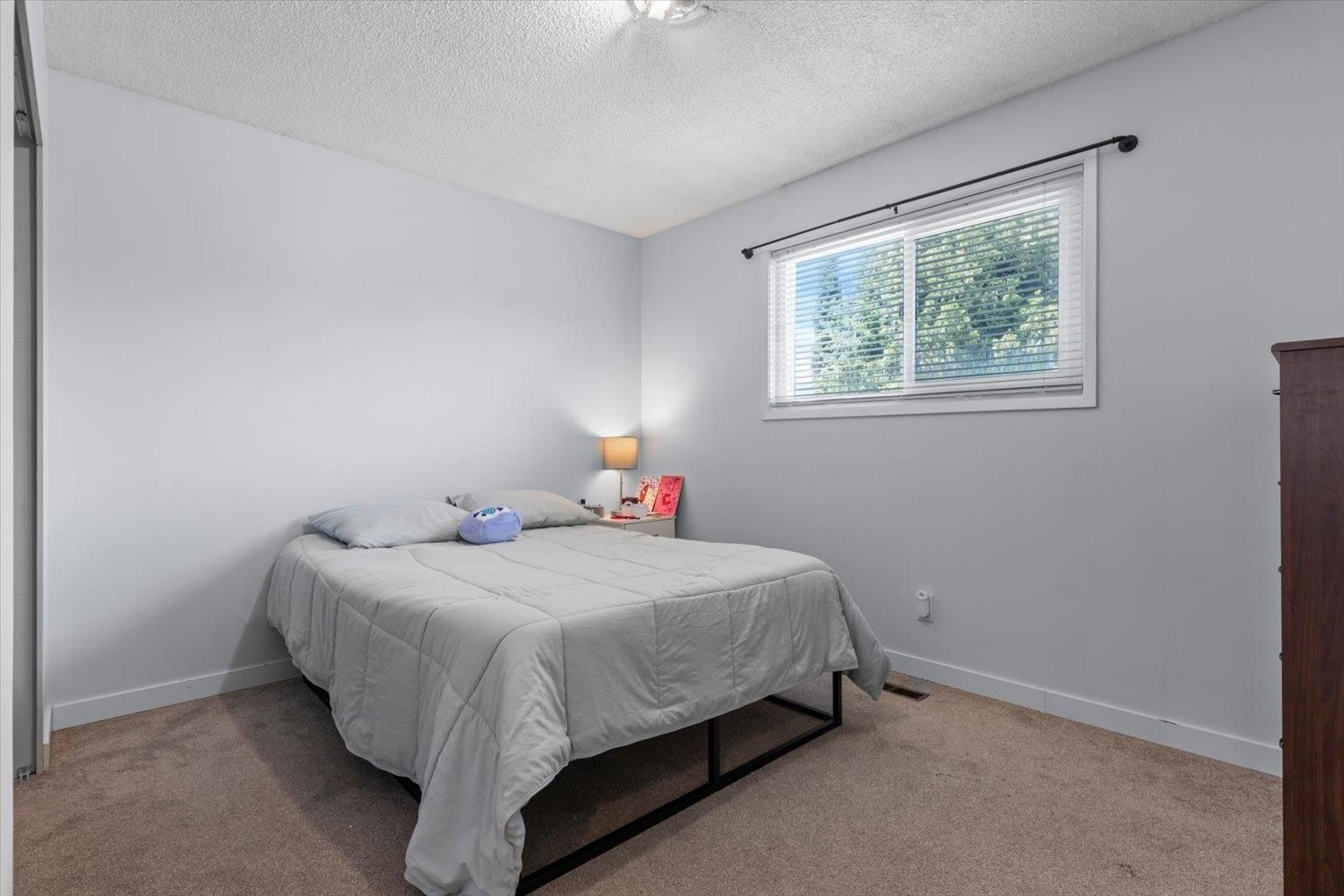 10005 DUBLIN DRIVE Image 19