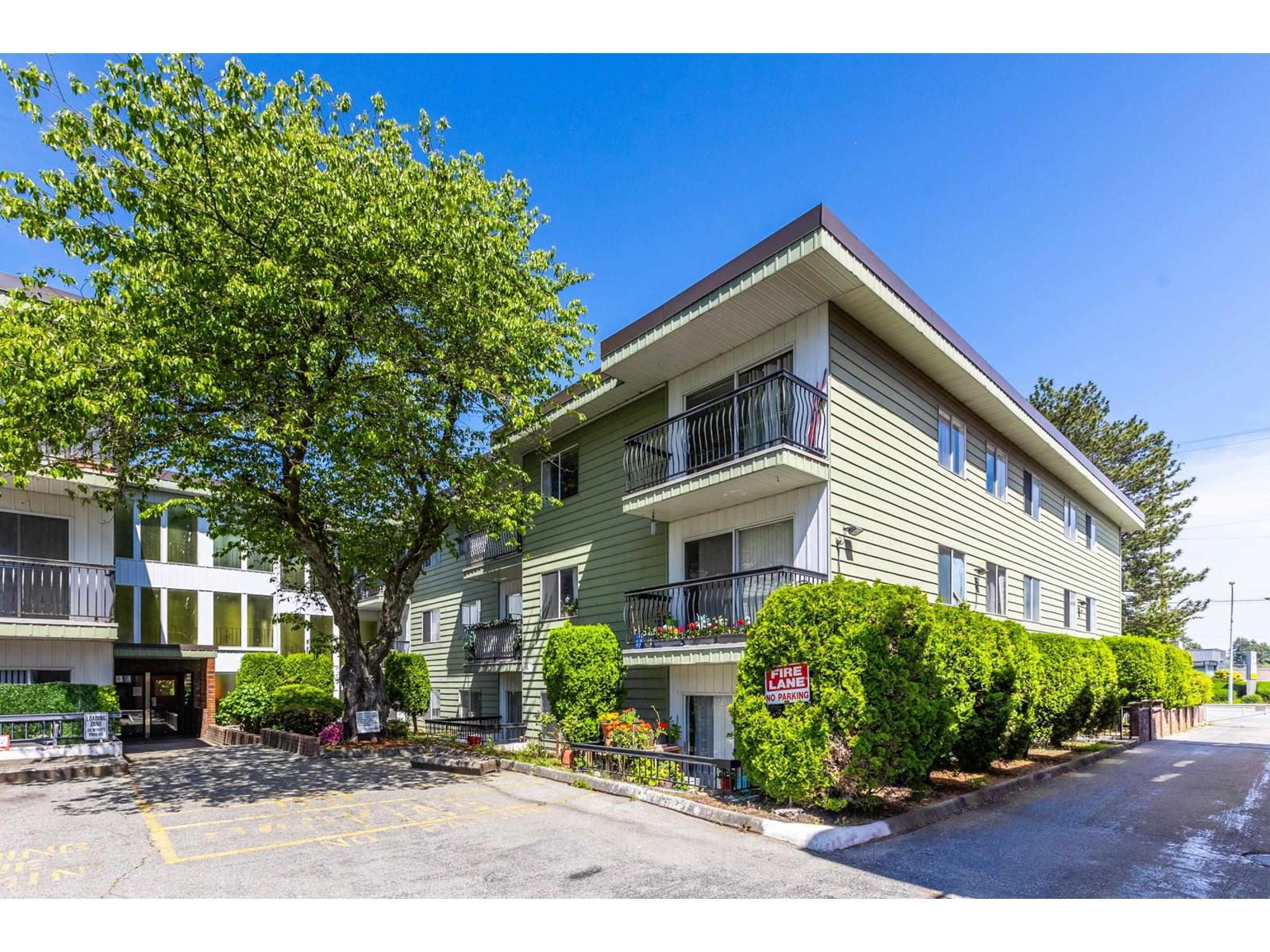 Primary Property View
