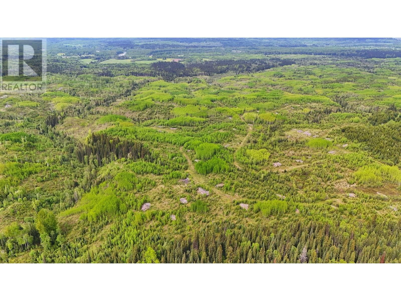 DL - 9202 BEAVER FOREST ROAD Image 10
