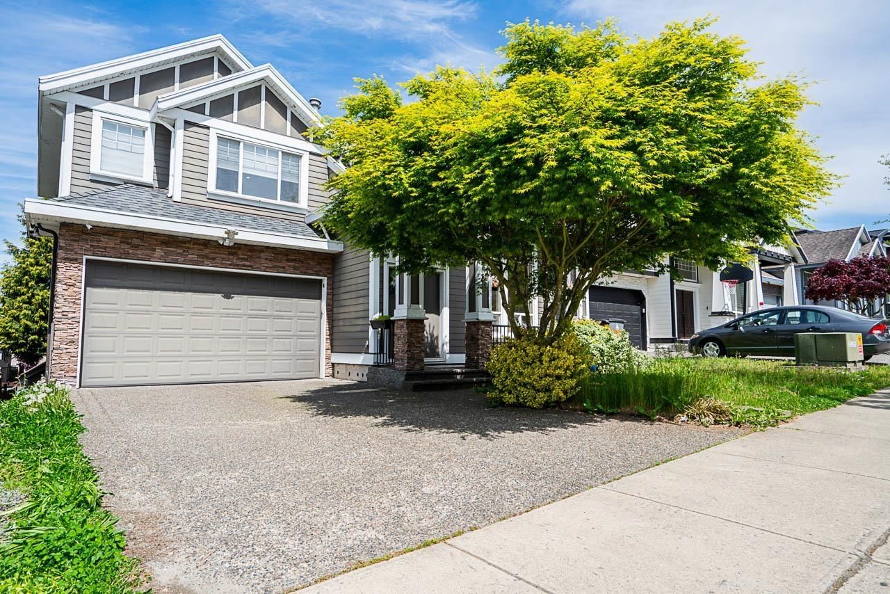 Primary Property View