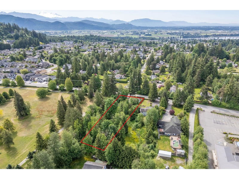 Tertiary Property View