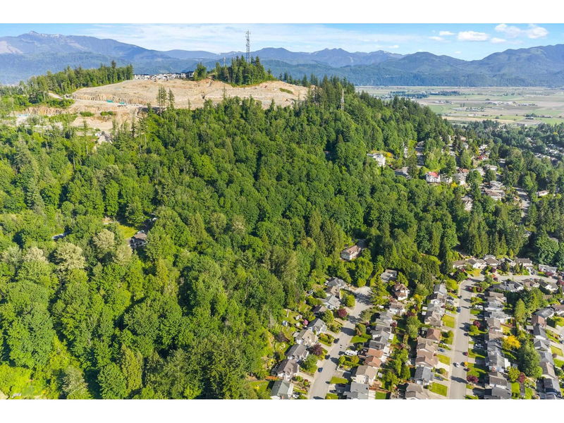 Tertiary Property View