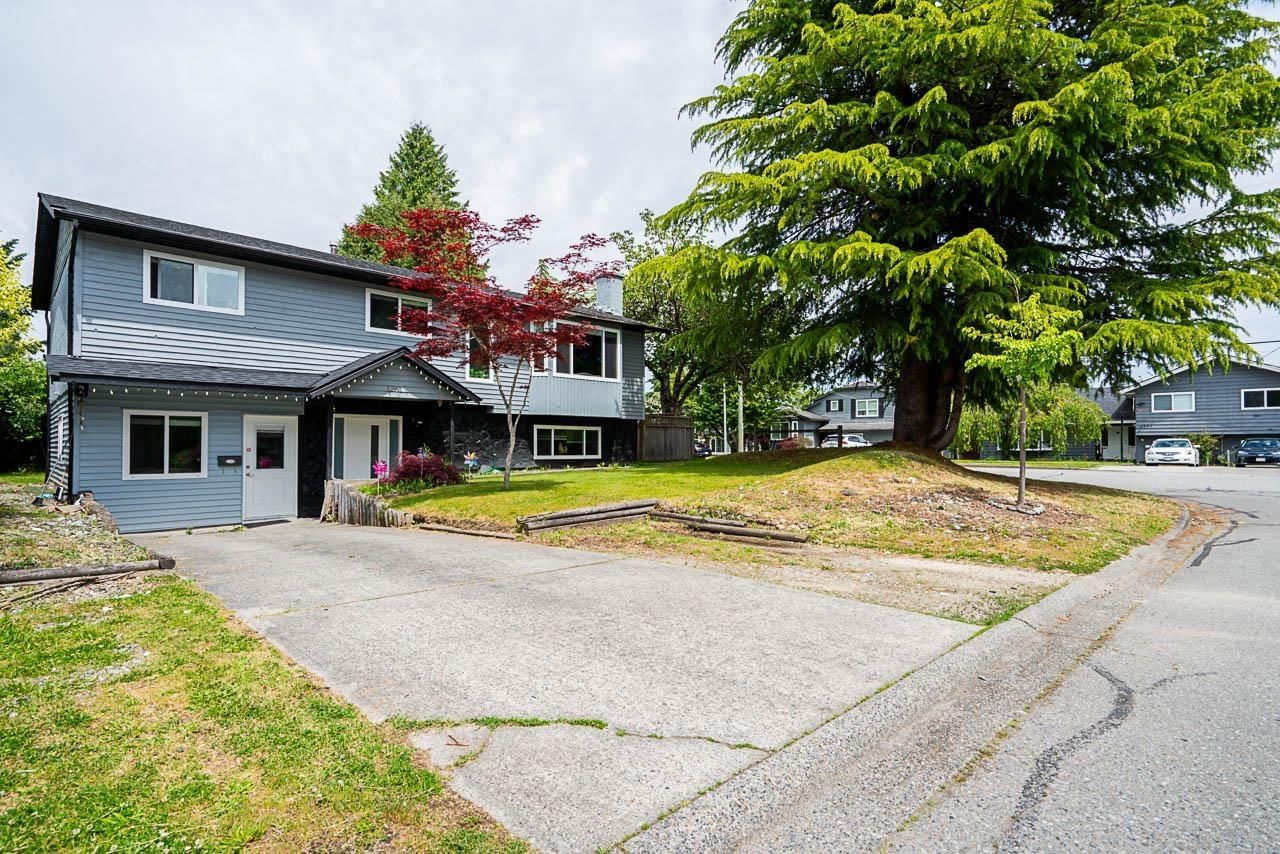 Primary Property View