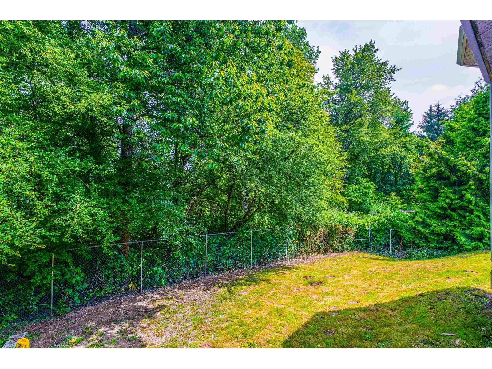27269 32B Image 6