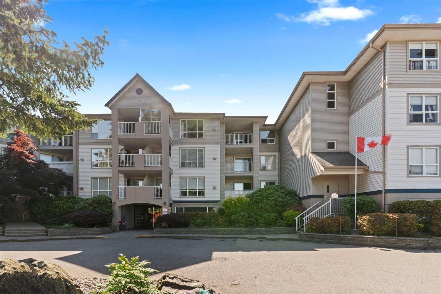 Primary Property View