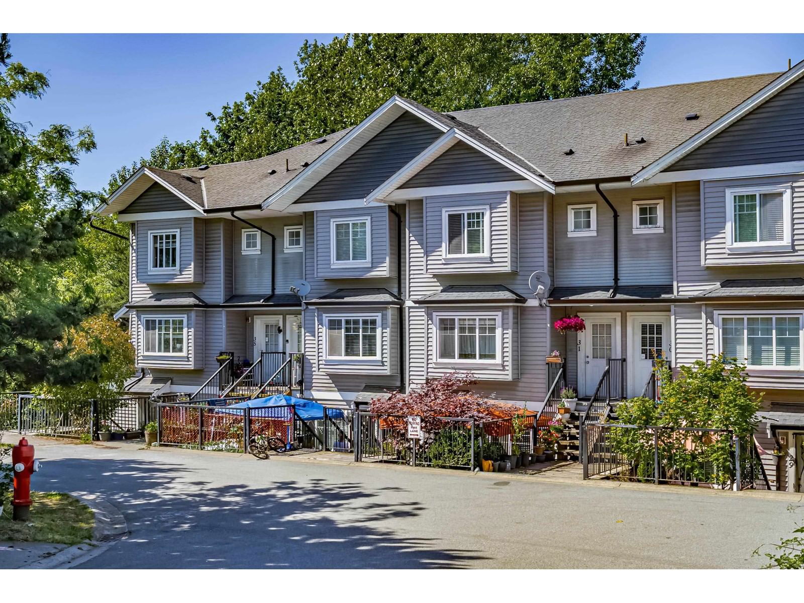 Primary Property View