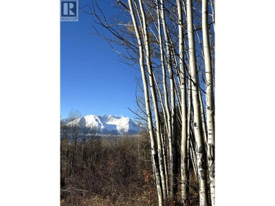 9410 ADAMS Road | Smithers British Columbia | Slide Image Eight