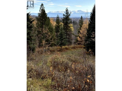 9410 ADAMS Road | Smithers British Columbia | Slide Image Nine