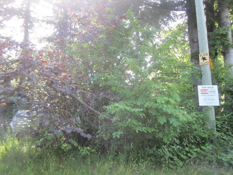 Tertiary Property View