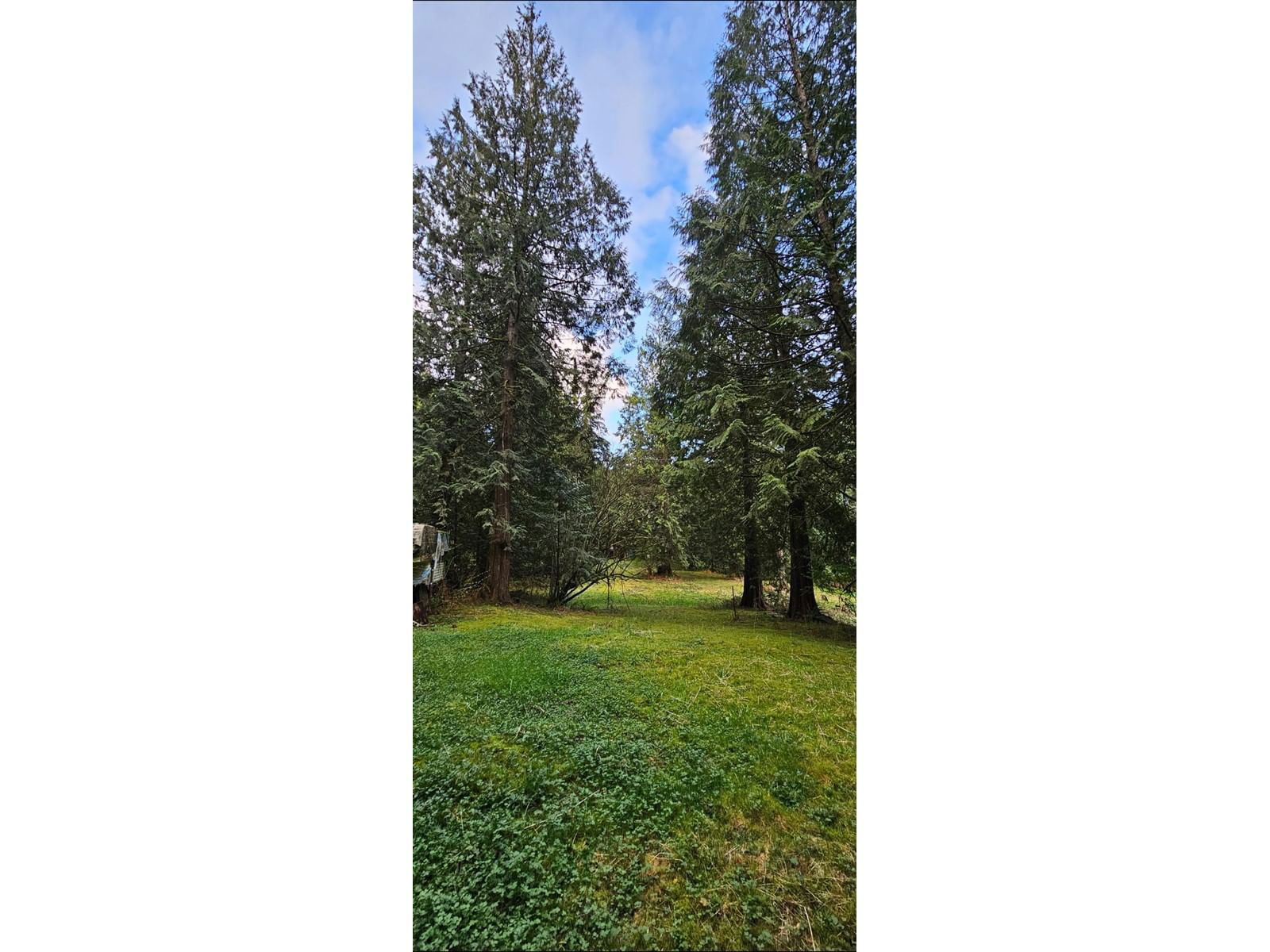 12917 SPRATT Image 3
