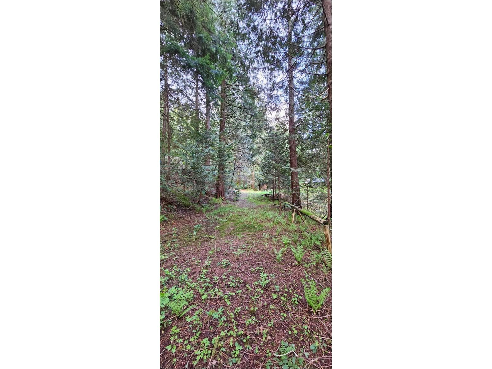12917 SPRATT Image 6