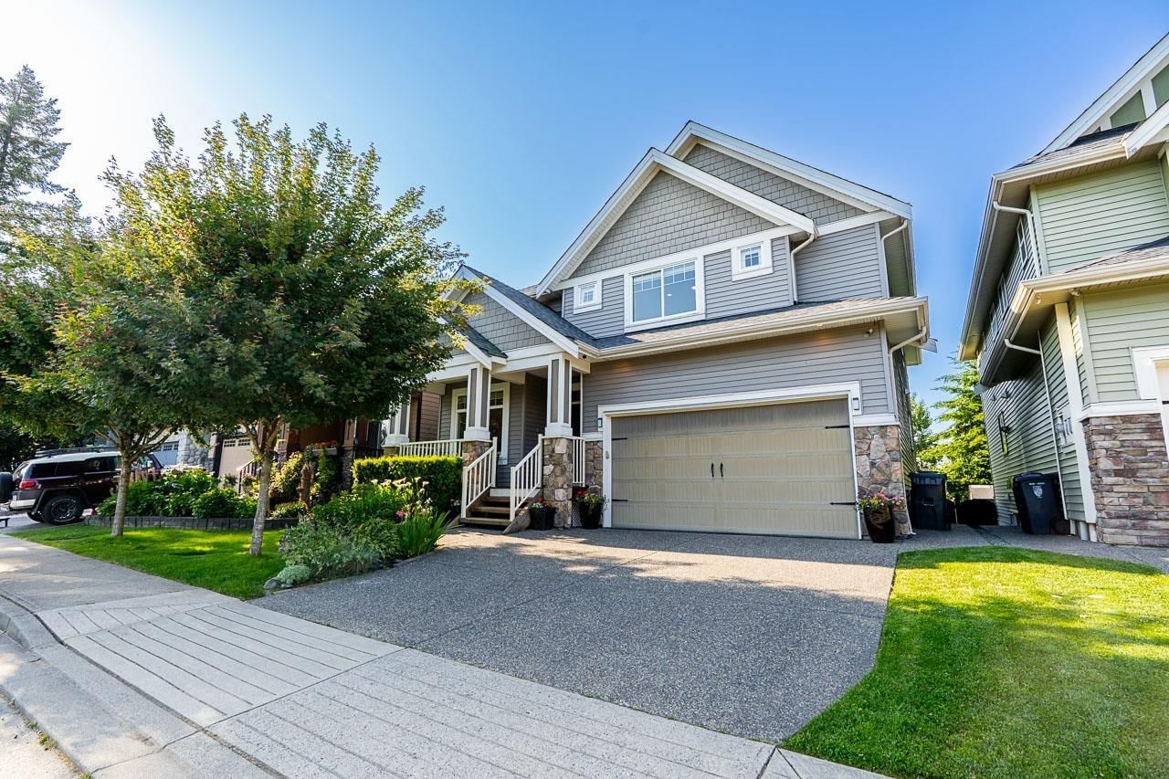 Primary Property View