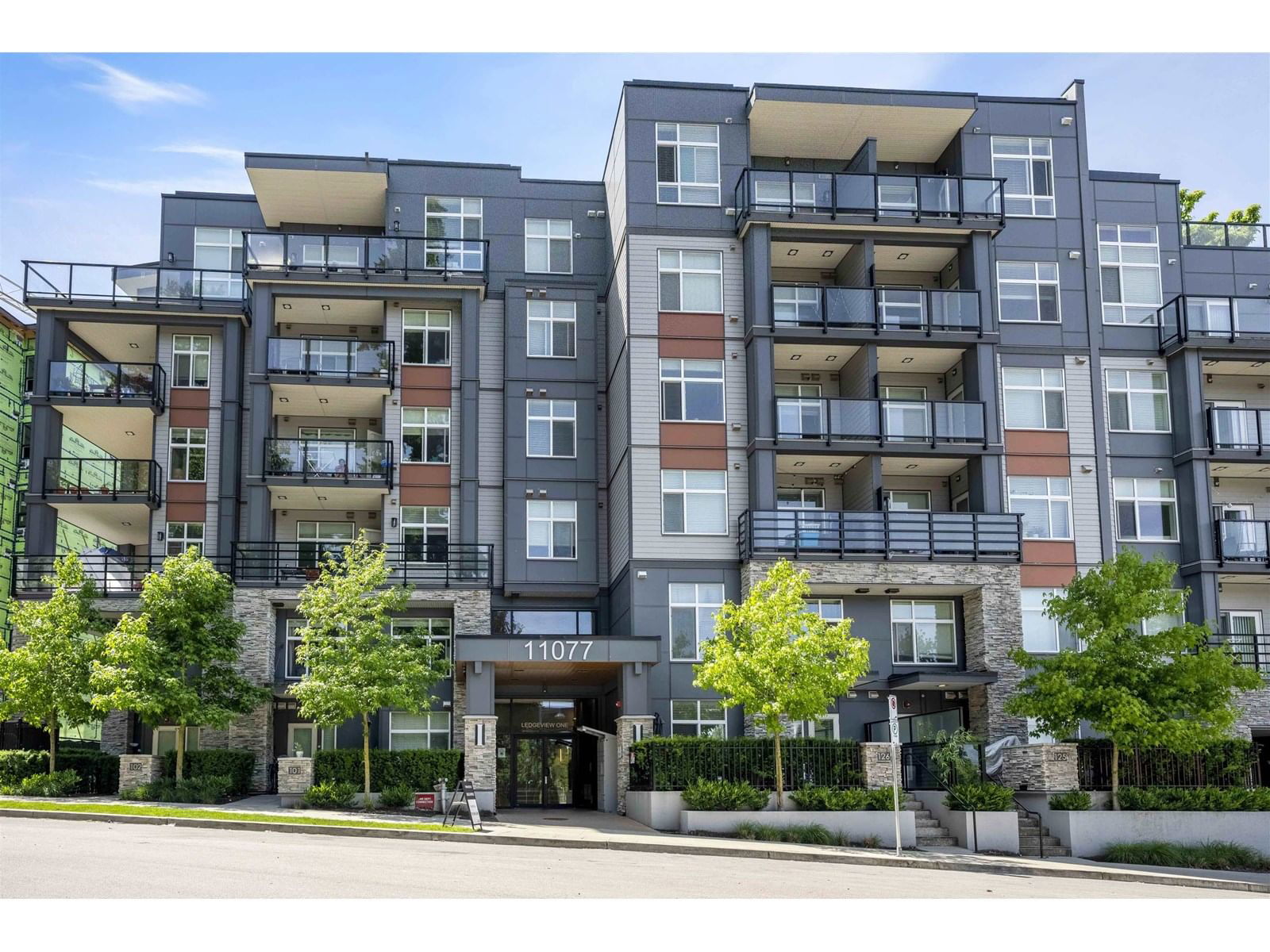 Primary Property View